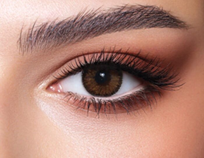 Contour Hazel